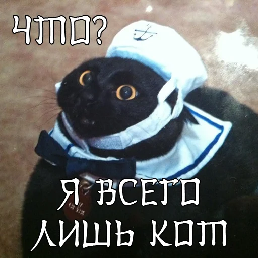 Sticker from the "Самураи-аутисты" sticker pack