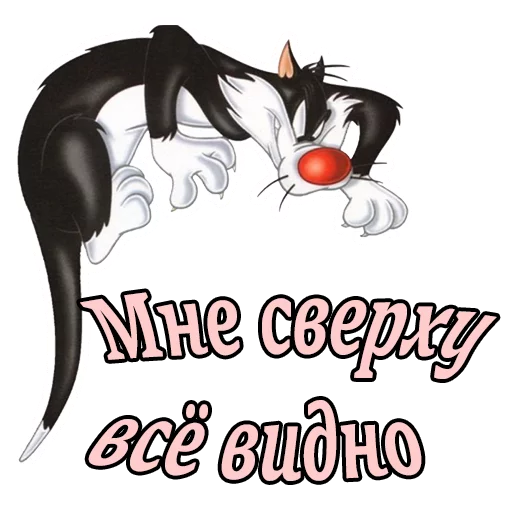 Sticker from the "Кот Сильвестр" sticker pack