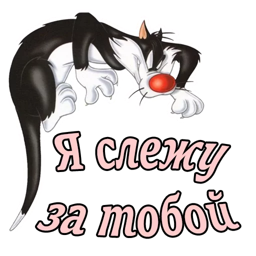 Sticker from the "Кот Сильвестр" sticker pack