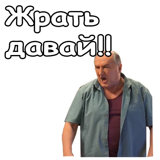 Sticker from the "Воронины" sticker pack