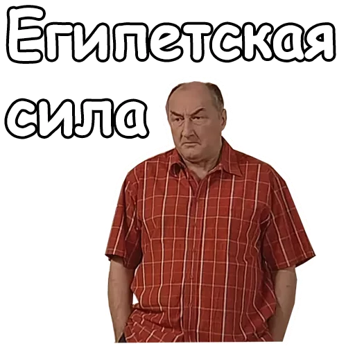 Sticker from the "Воронины" sticker pack