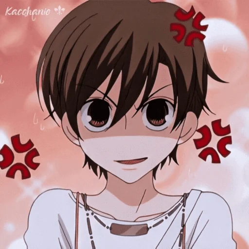 Sticker from the "Haruhi fujioka" sticker pack