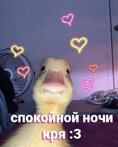 Sticker from the "Спокойной ночи" sticker pack