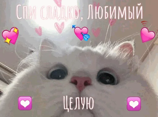 Sticker from the "Спокойной ночи" sticker pack