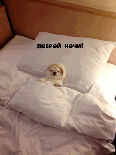 Sticker from the "Спокойной ночи" sticker pack