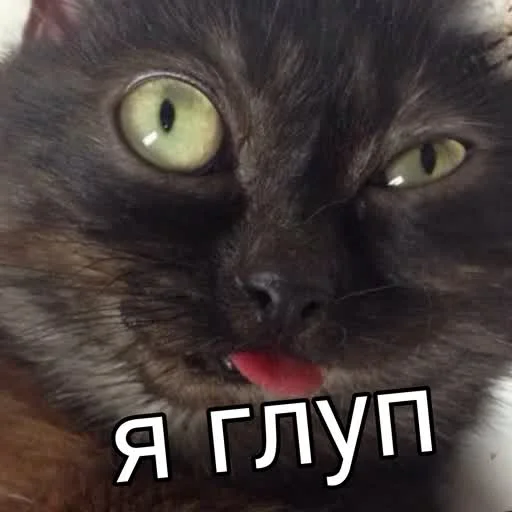 Sticker from the "учеба" sticker pack