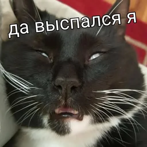 Sticker учеба