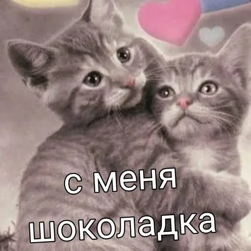 Sticker учеба