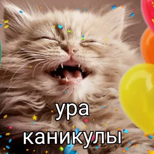 Sticker from the "учеба" sticker pack