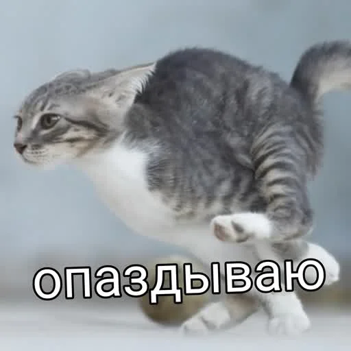 Sticker from the "учеба" sticker pack