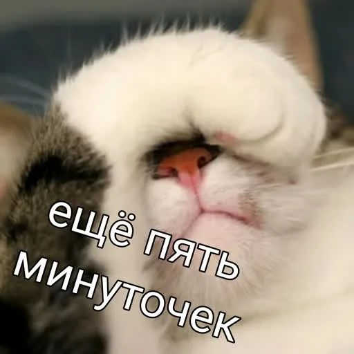 Sticker from the "учеба" sticker pack