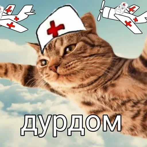 Sticker учеба