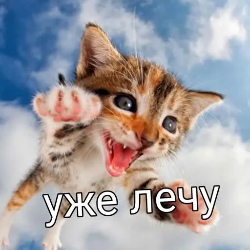 Sticker учеба