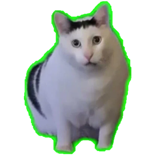 Sticker from the "Коты ъеъ" sticker pack