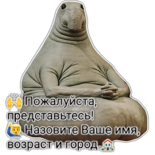 Sticker from the "Люди" sticker pack