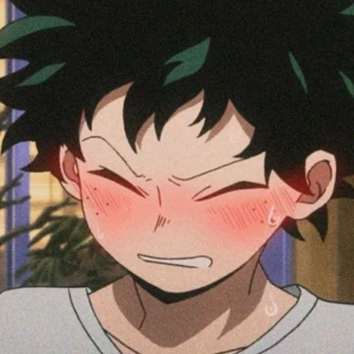 Sticker from the "Midoriya" sticker pack