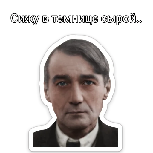 Sticker ТНО шиза