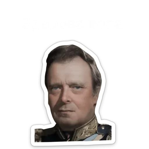 Sticker from the "ТНО шиза" sticker pack