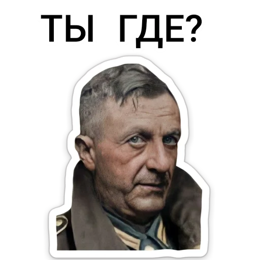 Sticker ТНО шиза