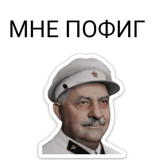 Sticker ТНО шиза