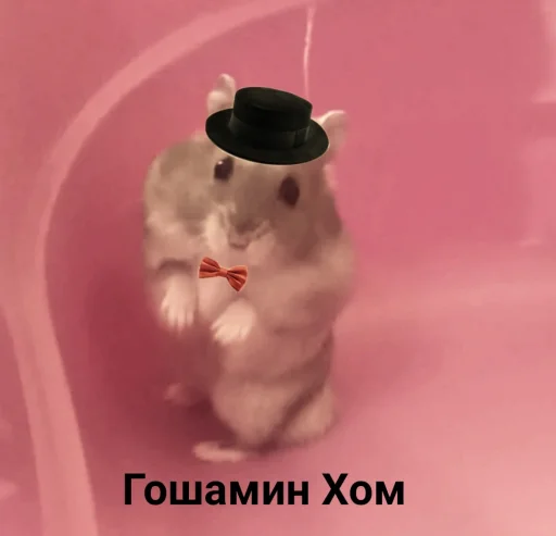 Sticker from the "Гошик" sticker pack