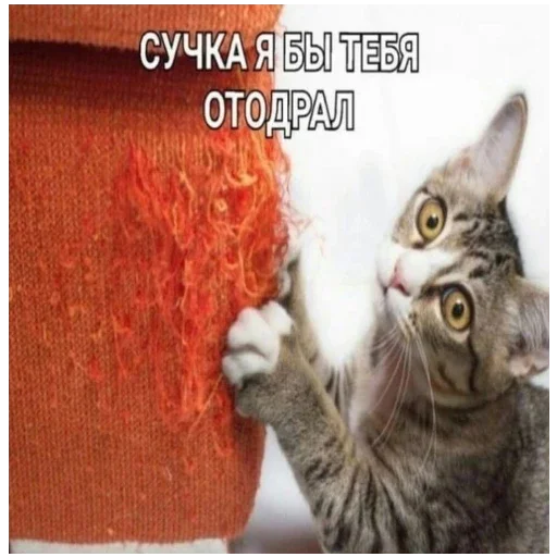 Sticker цмх мой отчим