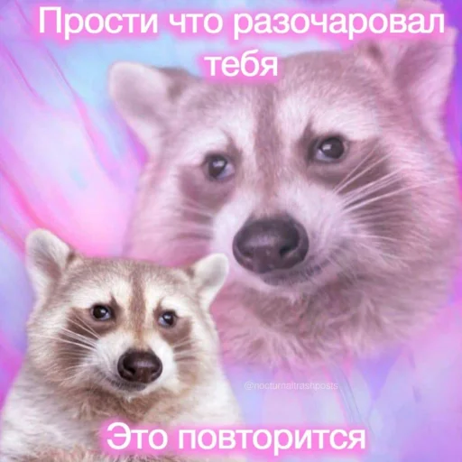 Sticker from the "кайза жмыхнуло 5" sticker pack