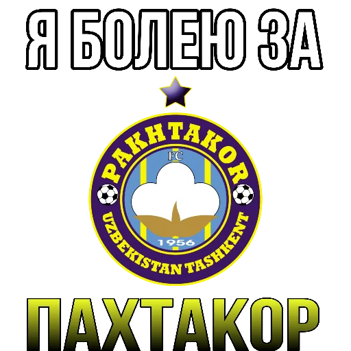 Sticker from the "Я болею за футбол" sticker pack