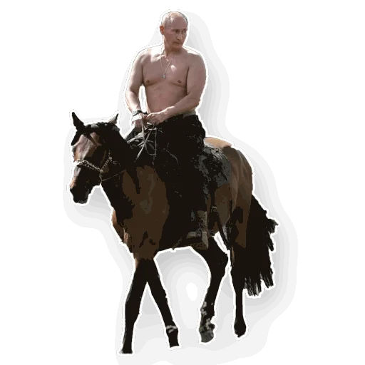 Стикер из набора "Путин"