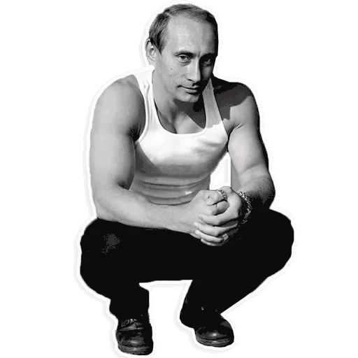 Sticker from the "Путин" sticker pack