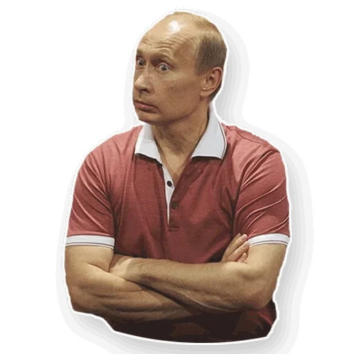 Стикер из набора "Путин"