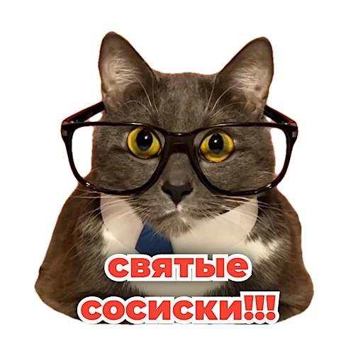 Sticker from the "kotiynet" sticker pack