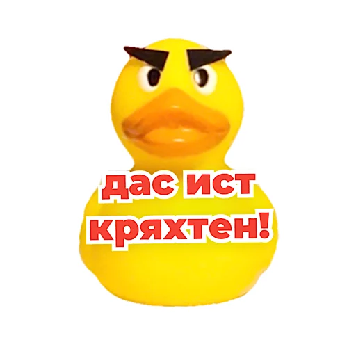 Sticker from the "kotiynet" sticker pack