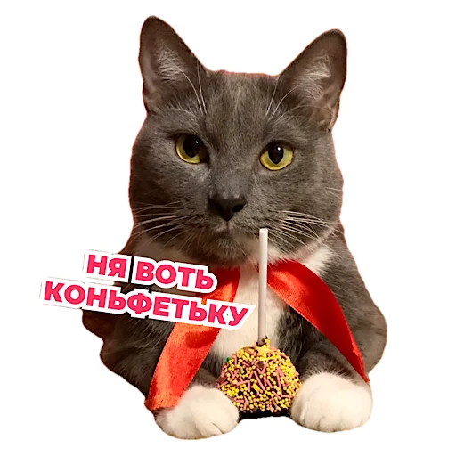 Sticker from the "kotiynet" sticker pack