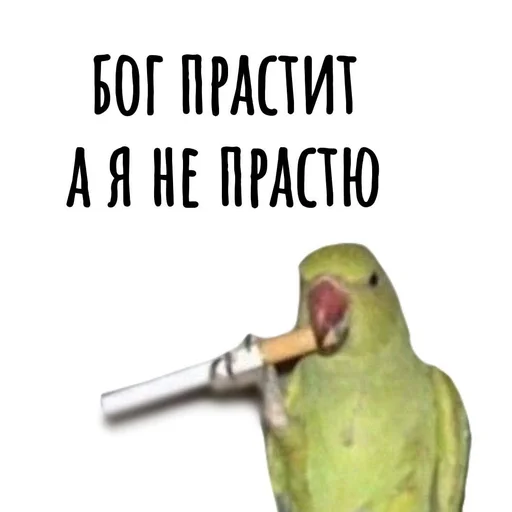 Sticker from the "Хамим Красиво" sticker pack