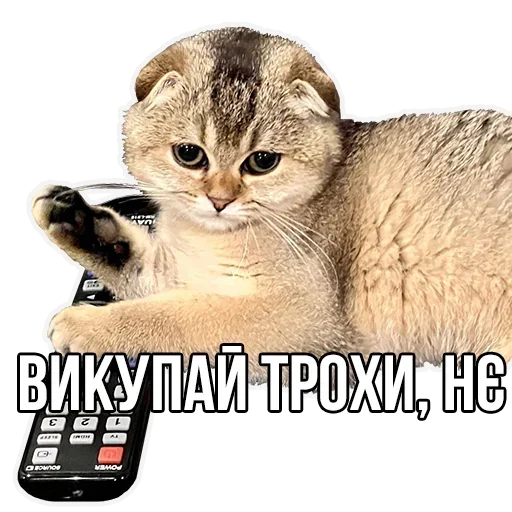 Sticker Криївка Дракона