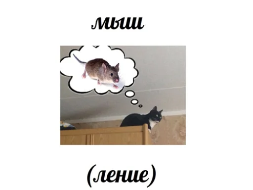 Стикер из набора "IpCatMeme"