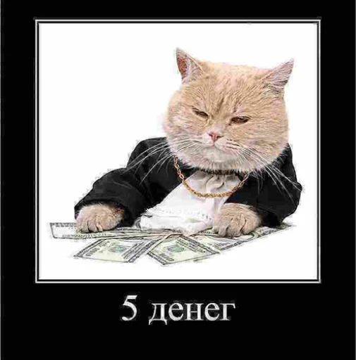 Стикер из набора "IpCatMeme"