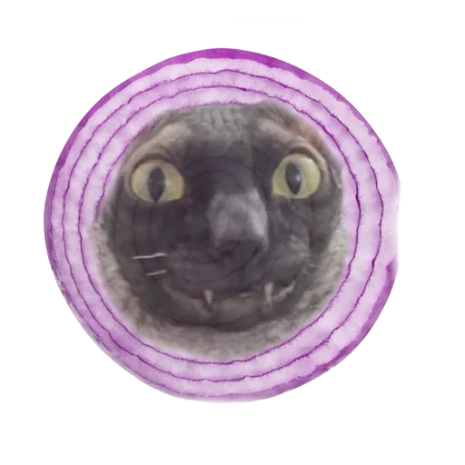 Sticker from the "Cats | Котики" sticker pack