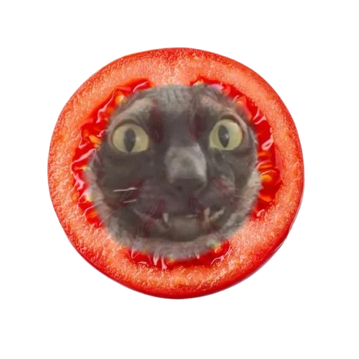 Sticker from the "Cats | Котики" sticker pack