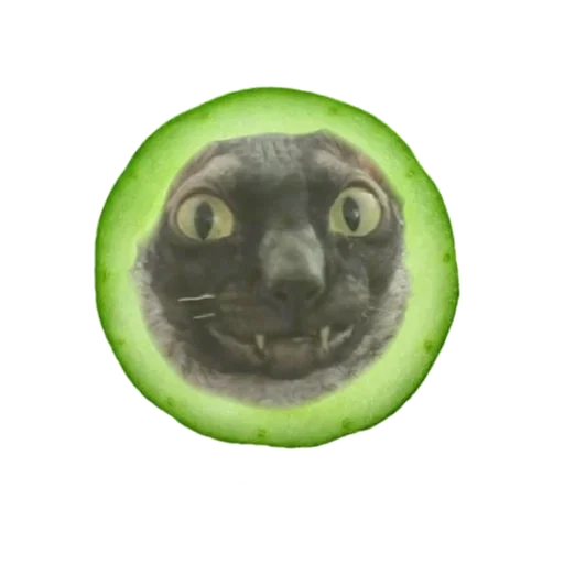 Sticker from the "Cats | Котики" sticker pack