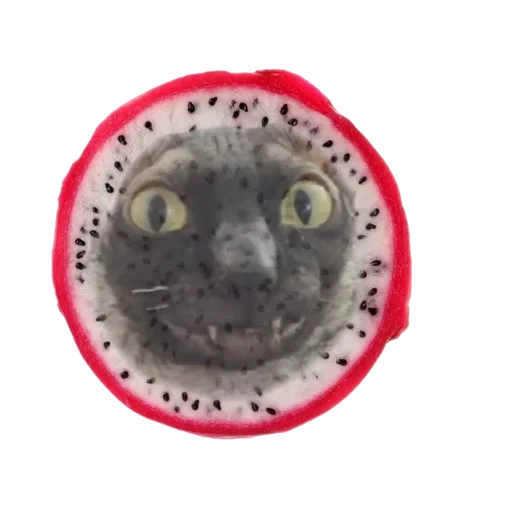 Sticker from the "Cats | Котики" sticker pack