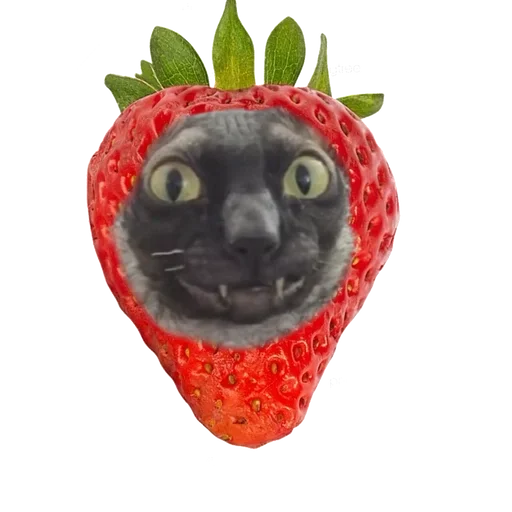 Sticker from the "Cats | Котики" sticker pack