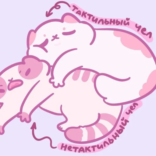 Sticker from the "Котики'Мяв" sticker pack