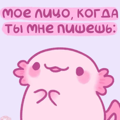 Sticker from the "Котики'Мяв" sticker pack