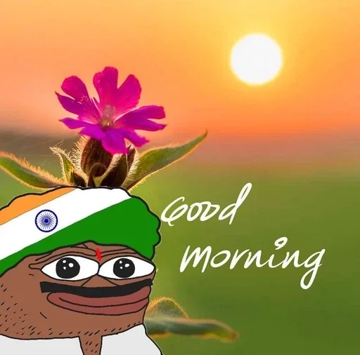 Стикер из набора "Pepe memes"