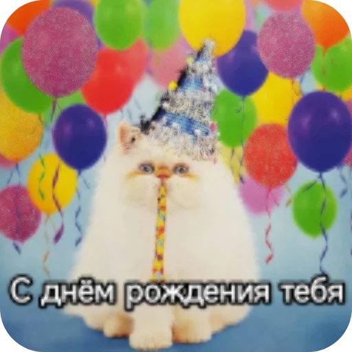 Sticker from the "Котики и фразочки" sticker pack