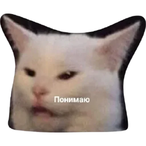 Sticker from the "Котики и фразочки" sticker pack