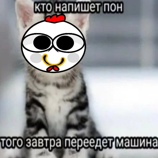 Sticker from the "Курочка загадка" sticker pack