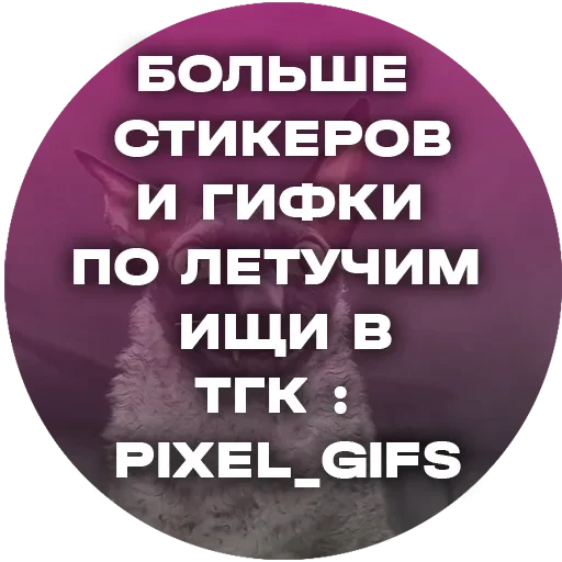 Sticker from the "Cats | Котики" sticker pack